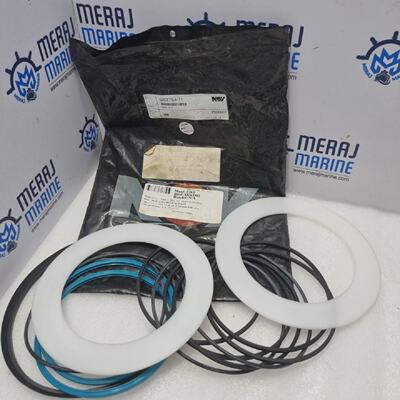 Nov National Oilwell Varco 9837571 Kit di Guarnizioni FHydra