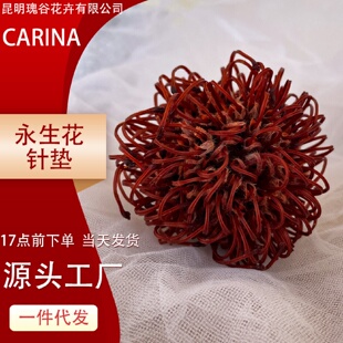 饰摆件软装 永生针垫花班克木小佛塔花束北欧装 干花斑克木花北欧风