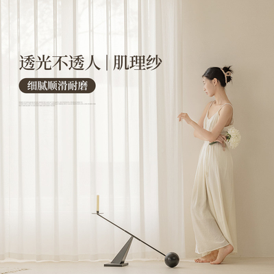 【YummyHome】客厅防勾丝窗帘窗纱纱帘透光不透人白纱卧室高