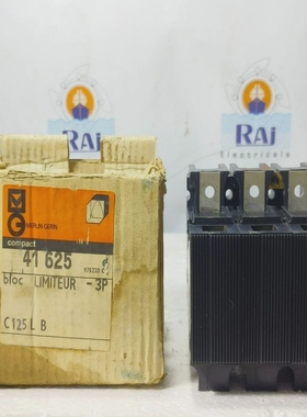 MERLINGERIN小巧型C125LB3POLE125ACIRCUITBREAKER限制块