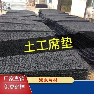 渗水片材rcp渗排水网垫渗排水盲板垃圾填埋场渗水垫土工席垫