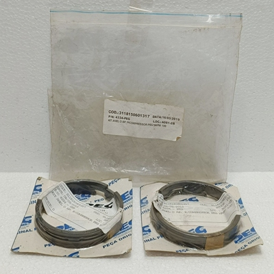 Lotof2xPEGNAPW100CompressorPistonRingKits4334-{PEG