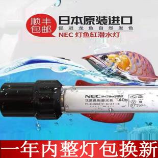 议价NEC龙鱼专用潜水灯6700K日本原装进口红龙金龙发色三基色