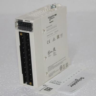 Schneider BMXAMO0802 Analog Non Isolated High Level Output M