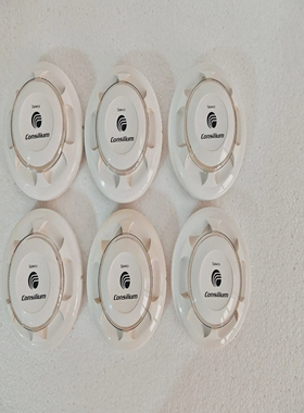 ConsiliumEV-PSalwico模拟照片电动040020