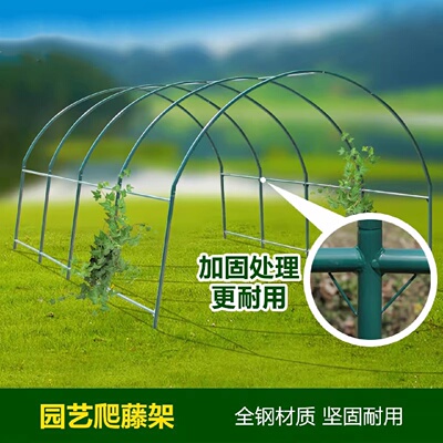 楼顶阳台爬藤支架钢管蔬菜瓜架庭院花园用棚架可选长宽高尺寸
