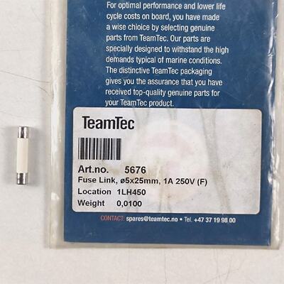 Fuse Link 5676 Per Teamtec F1A450V 5 25 MM 1A 250V F  Confez