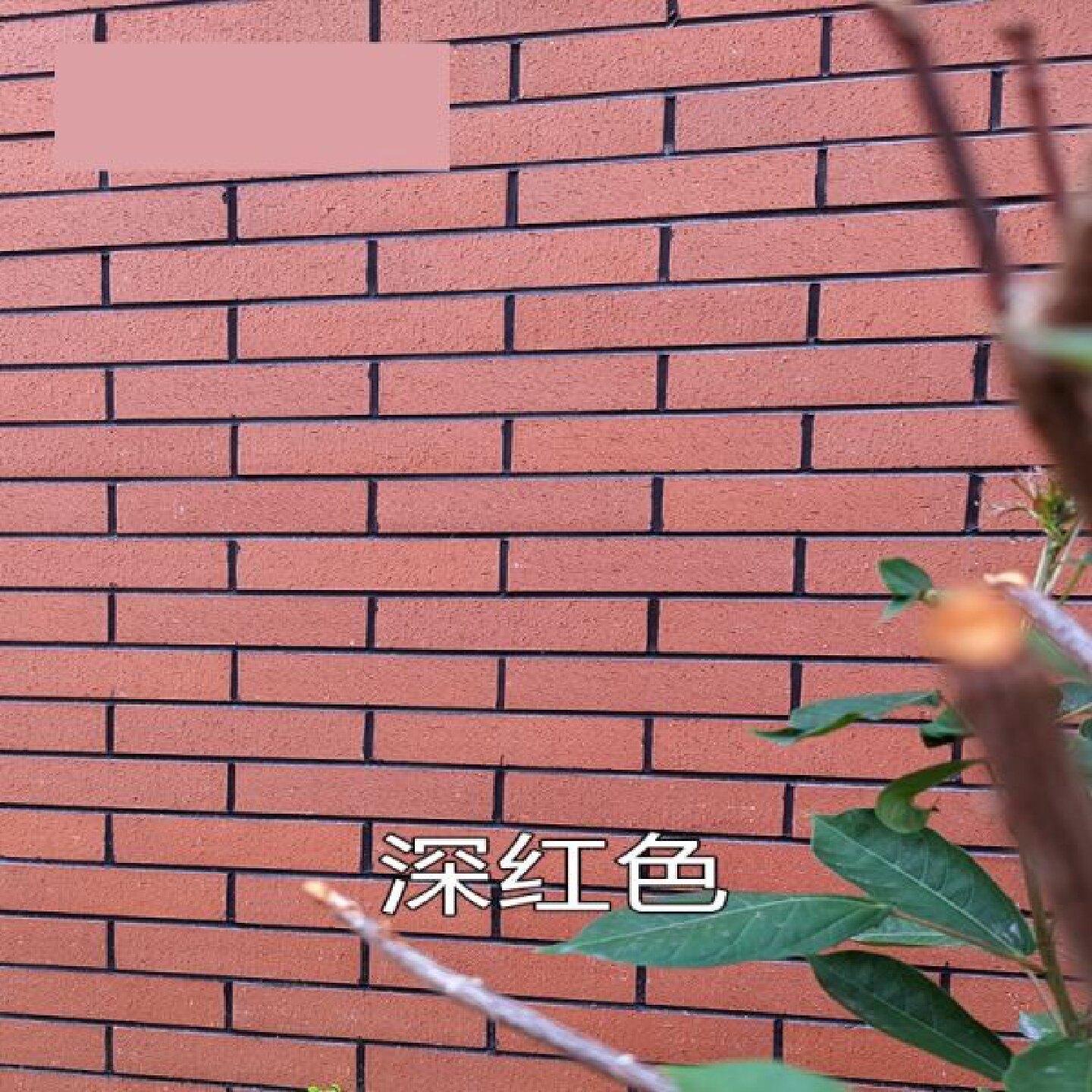 陶土井字型植草砖护坡砖8字型草坪砖停车位绿化广场砖烧结劈开砖