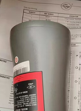 美国fireye火焰传感器95DSS21控制器全议价