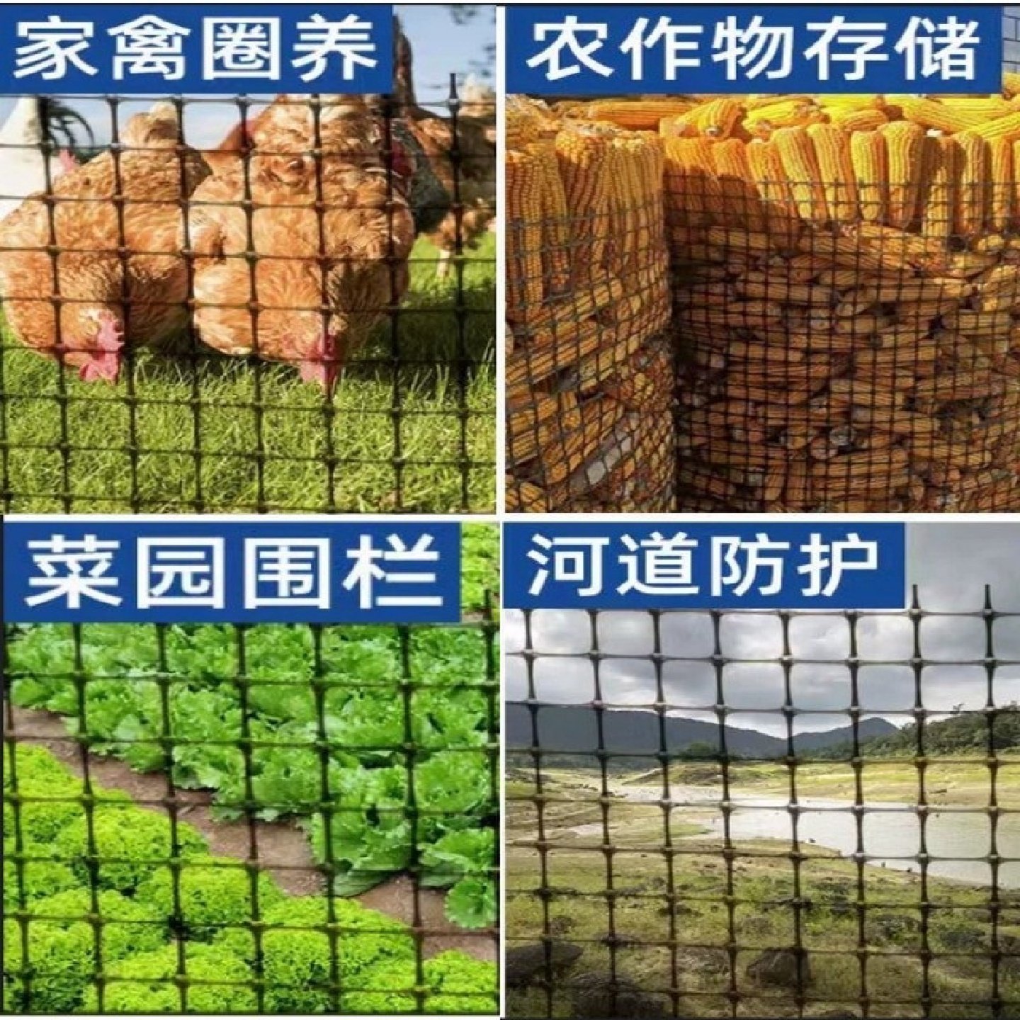 塑料网格防护网圈玉米网小孔养鸡鸭围栏护栏网隔离养殖网土工格栅,五金/工具,护栏/隔离栏,淘宝优惠券,粉丝福利购,淘宝优惠卷