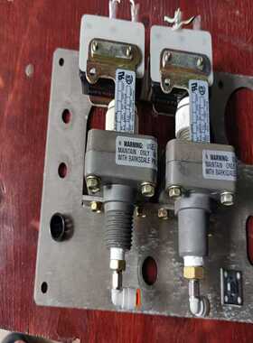 巴士德压力开关，型号E1S-H90-P4功能询价