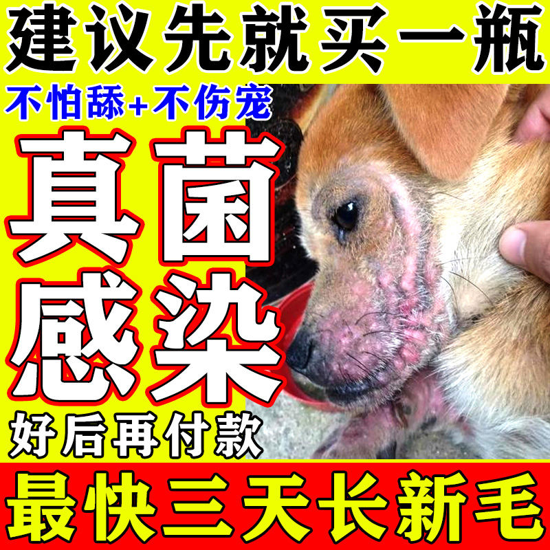 狗狗皮肤病外用药特狗癣真菌感染效专用化脓溃烂治脱毛宠疗喷