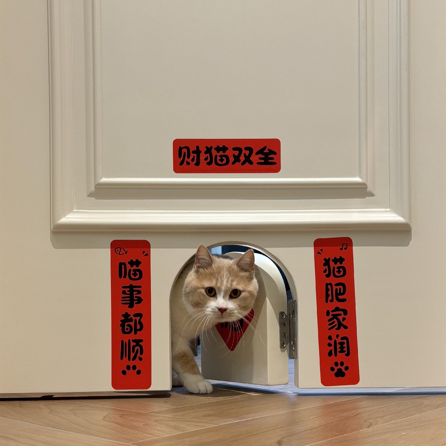 2026新款财猫双全宠物对联迷你猫屋狗窝布置新年装饰品喜庆小春联,节庆用品/礼品,对联,淘宝优惠券,粉丝福利购,淘宝优惠卷