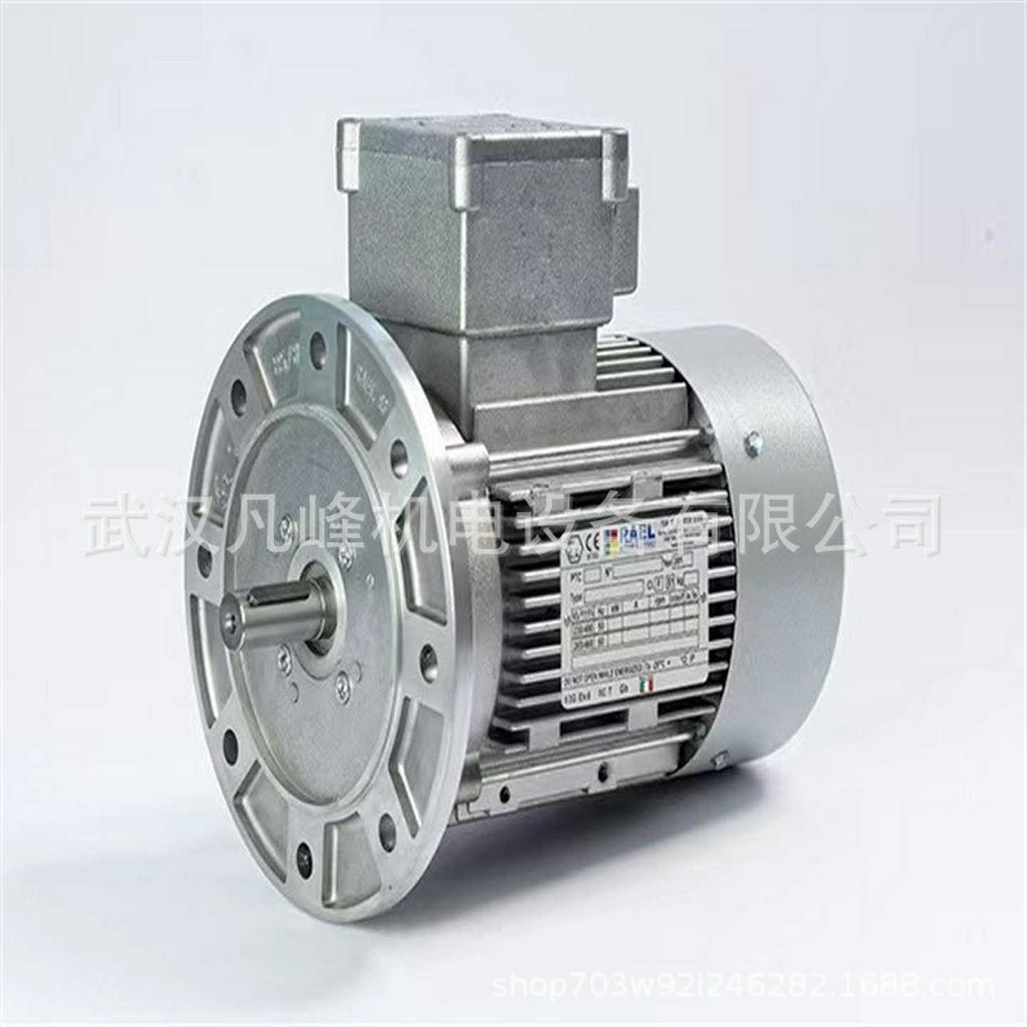 意大利原I装进口RAEL防爆电机3RL0041等全系列