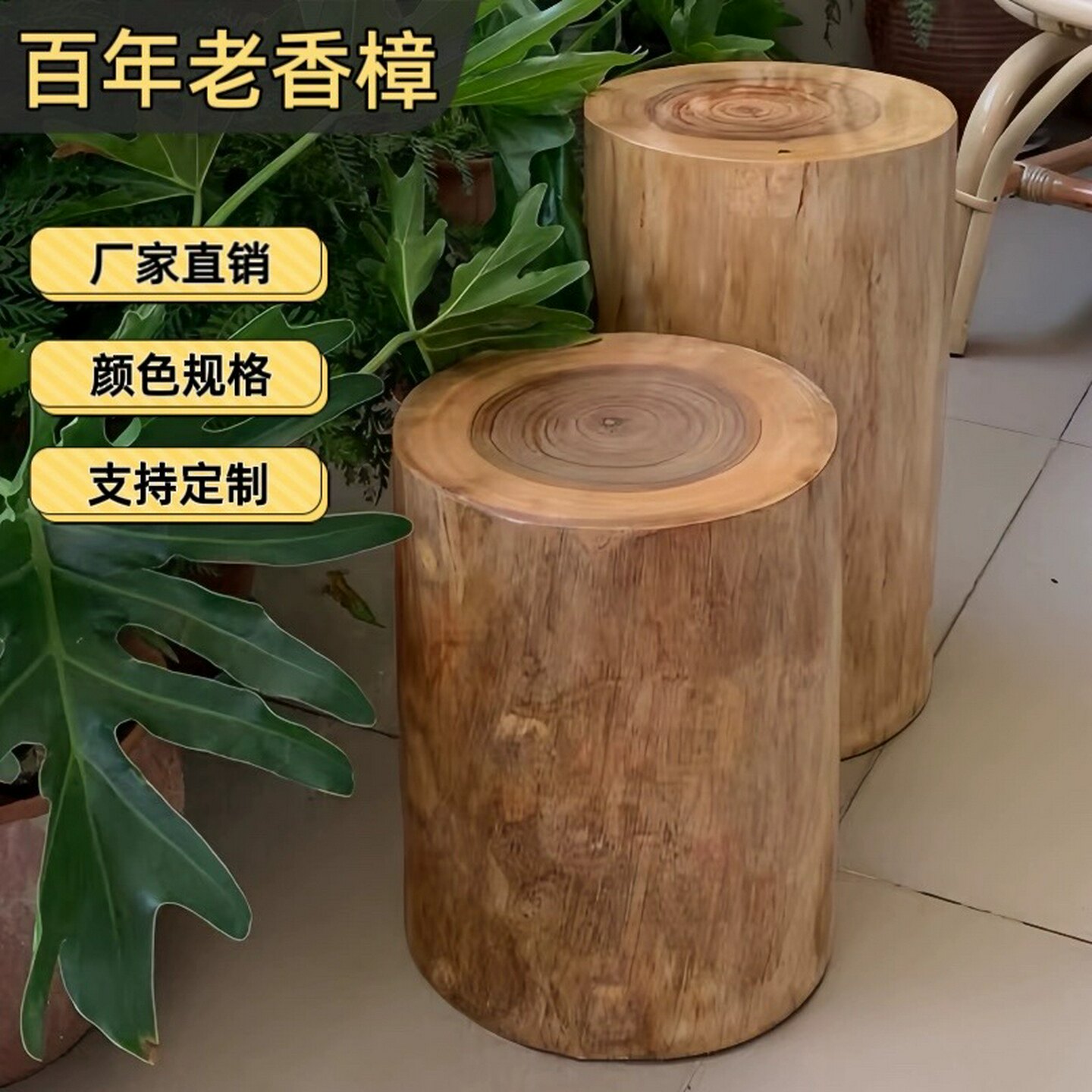 香樟木树桩树墩凳子实木墩子根雕原木木桩底座茶几茶桌圆木坐凳子