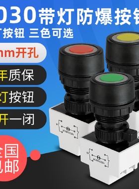 BA8030防爆防腐带指示灯控制按钮塑料30mm有3C证书按钮开关自复位
