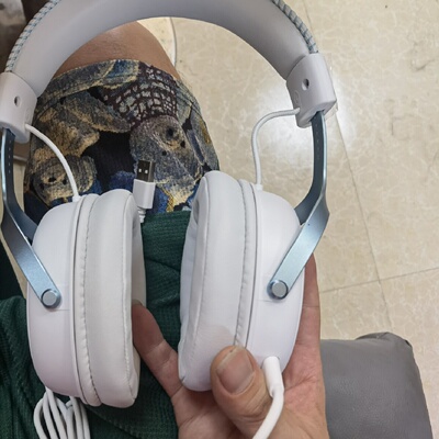 议价迈从v9pro耳机今年5月买的外观完好有的膜还没撕无