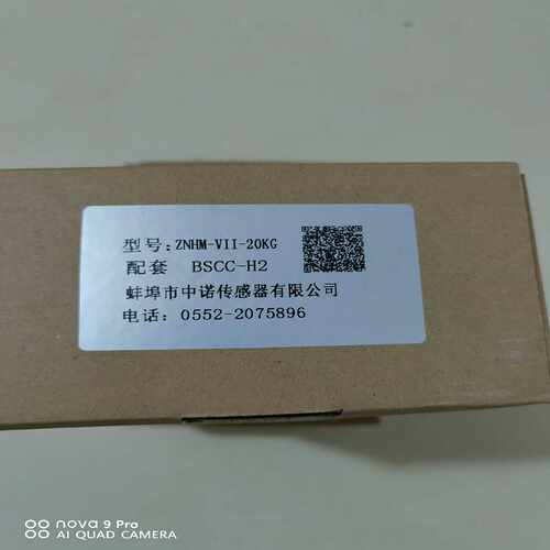 中诺配套传感器仪表BSCC-H2询价