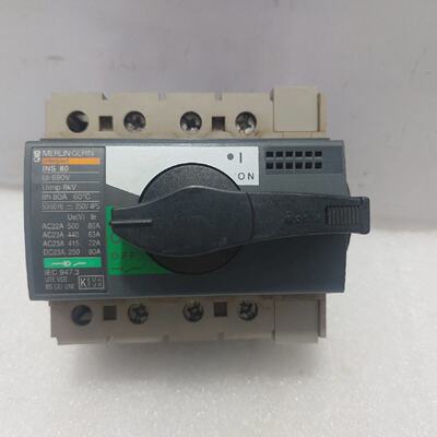 Merlin Gerin INS80 Switch Disconnector Interpact Ui 690V Uim
