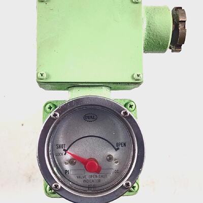 Indicateur DOuvertureFermeture De Soupape Ovale PI45B10 3647