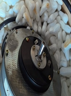 PARVEX帕瓦斯电机F12M4H57344实拍图议价--议价商品