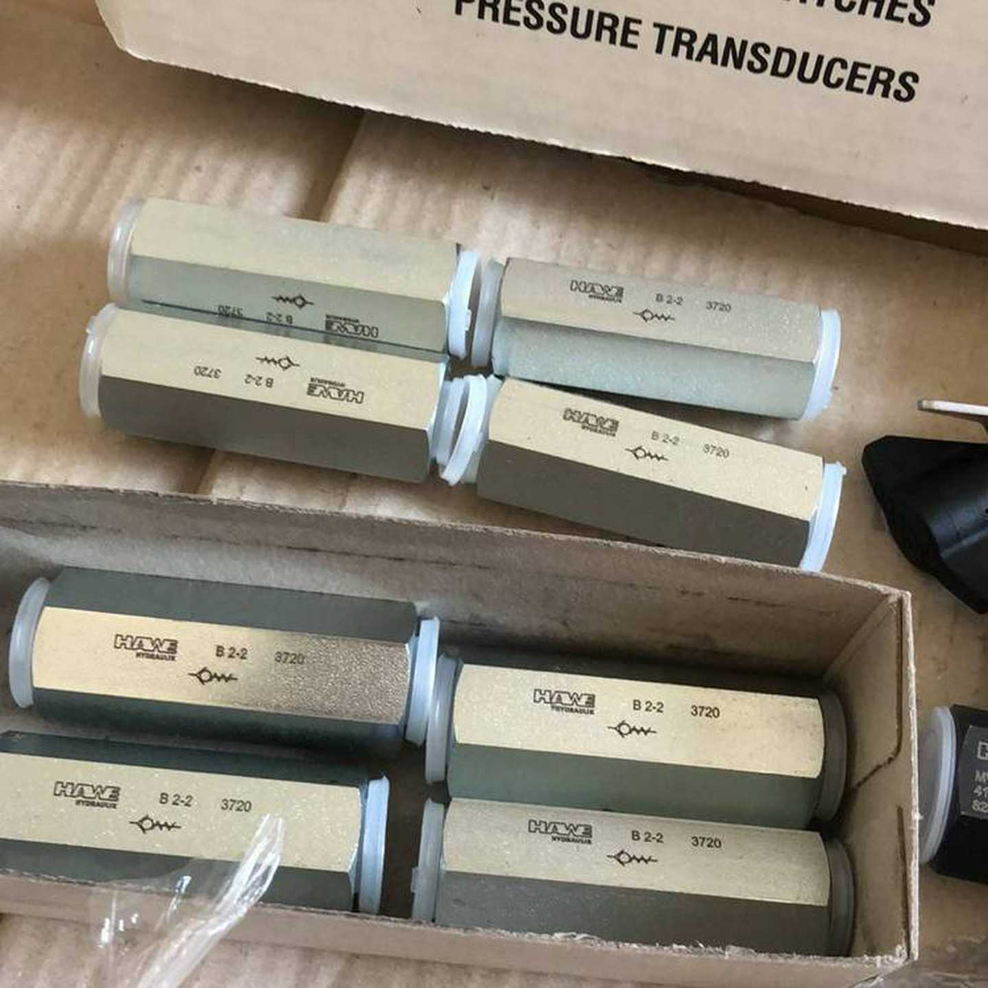 德国Baerksdale巴士德BPS3000系列电子双压力开关