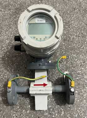 询价~ABB 电磁流量计 COPA-XE DE43F