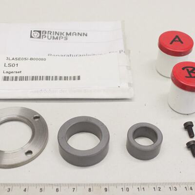 BRINKMANN PUMPS LS01 Pumpe Lager Set  3LASE0SIB00080 OVP