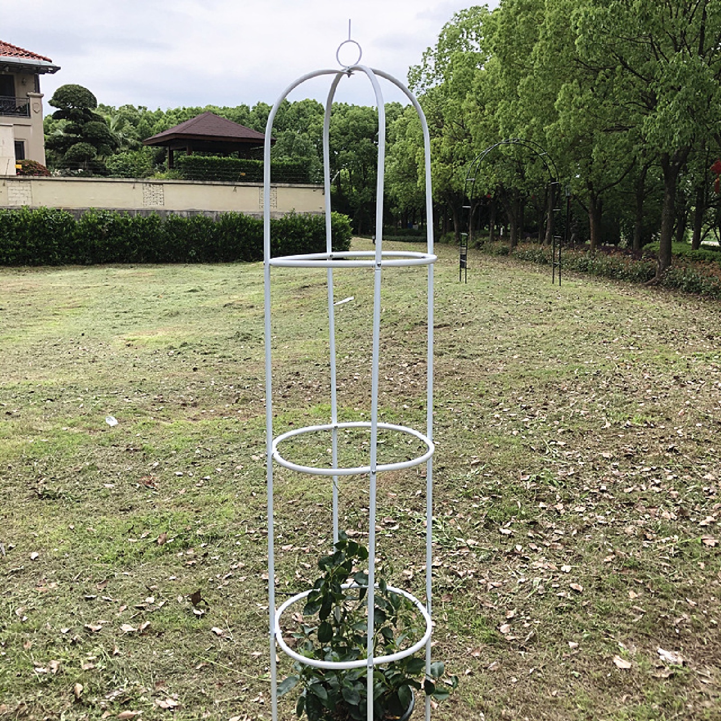 铁艺玫瑰月季花柱架铁线莲爬藤架攀藤植物架子花盆支架杆鸟笼户道
