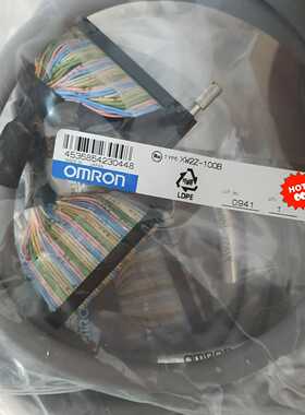 XW2Z-100B（零零电子）