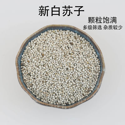 白苏子中大颗粒白苏子黄雀玉鸟鸟粮芙蓉鸟上膘鸟食油料苏子鸟