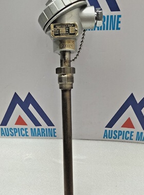 Lampadina Di Resistenza Daeyoung Tipo S 231030 600C