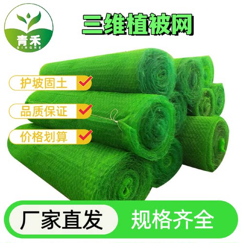 三维植被网植草护坡河道护理三维网固土绿化3层麦克加筋垫