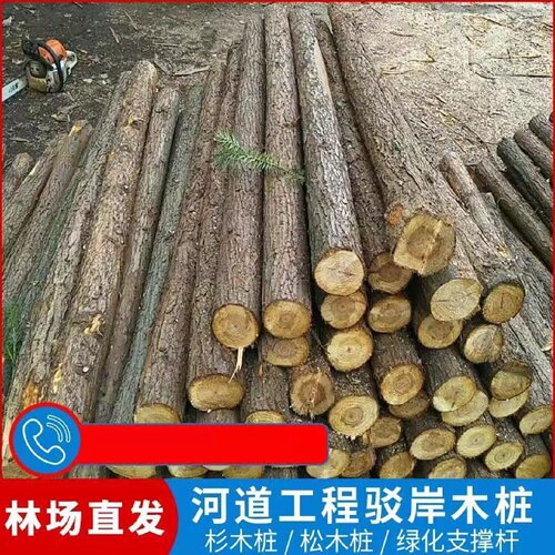 杉木打桩木河道带皮木头桩绿化苗木支撑杆工程建筑庭院挡土松木桩