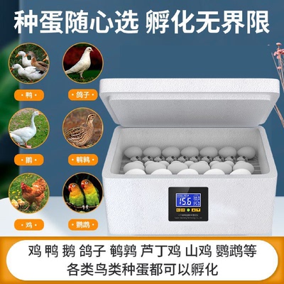 孵蛋器迷你家用型孵化机小型鸡蛋鹦鹉儿童孵化箱全自动水床孵化器