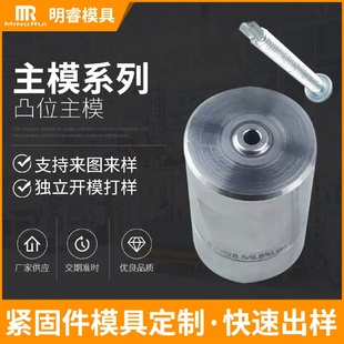 厂家批发精密模具钨钢冲针螺丝成型打头模具五金凸位主模模具