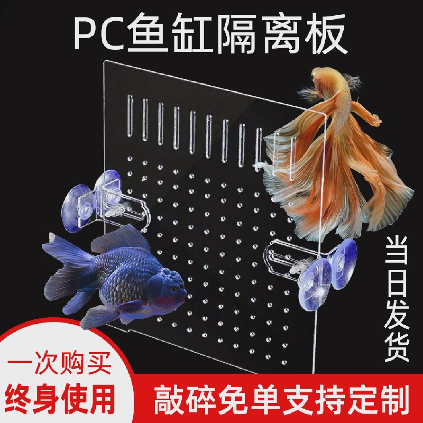 鱼缸隔离板隔离盒分隔板过滤隔离网送固定器吸盘加密过滤塑料板