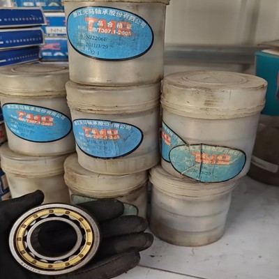 TMB全新未使用滚动轴承NJ2206EGB283