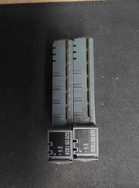 X20DS1828贝加莱模块【卡奥电子】