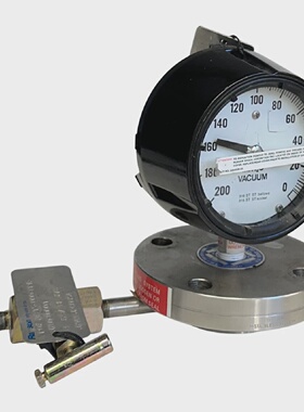 TRERICE 466SS4504LW635M63152HSS  24915000P0AJP0100001 GAUGE