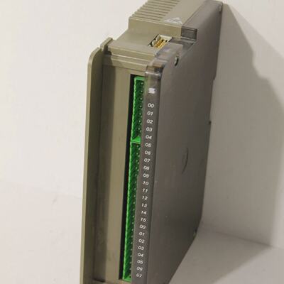 Selecontrol DIO 21