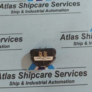 FOUNDATION FIELDBUS HNW50049839003 Bucle Test Alimentado Iso