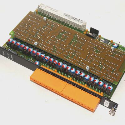 Usato BR ECPA8101 Uscita Modulo Rev.01.00 ECPA8101