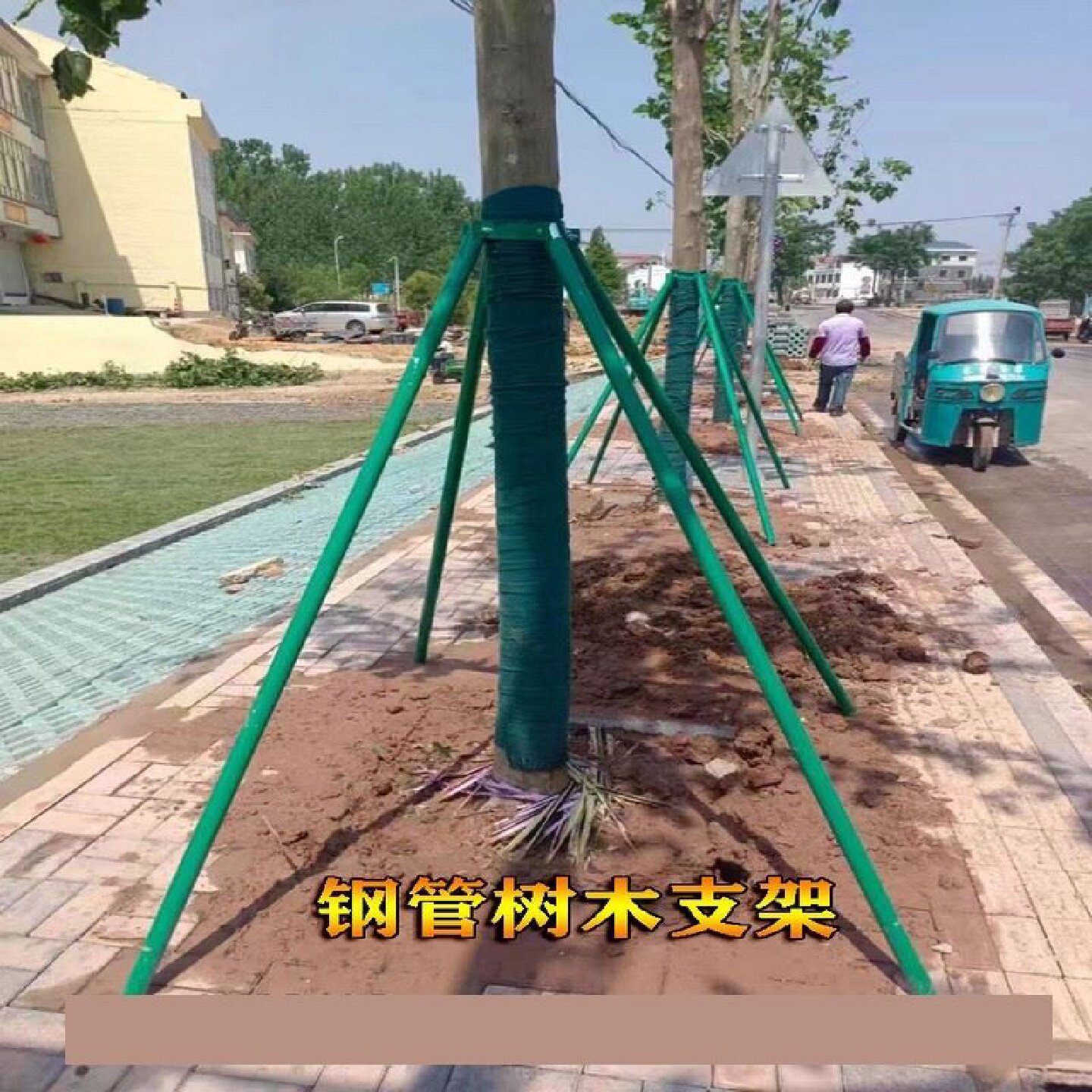 镀锌钢管树木支撑架园林绿化大树防风支撑杆固定器苗木撑树支架
