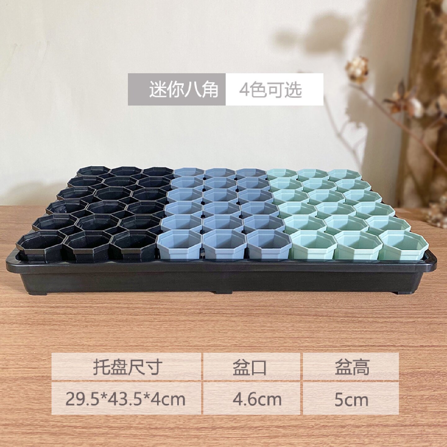 白色简约塑料多肉花盆4.6口迷你八角盆生石花浸盆框灯泡毛整理盘