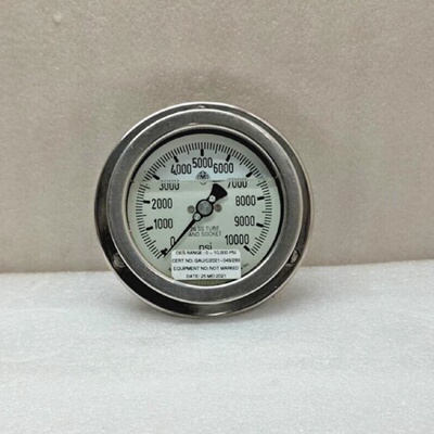 Manomtre Rempli De Liquide Tube Et Douille 316 SS 0  10000 P