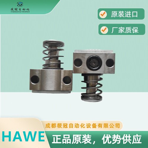 寻X德国哈维MPE5MPE7MPE9柱塞副R系列柱塞泵里面的柱塞hawe