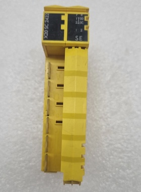 Mdulo De Controlador BR X20SC2432 X20 SC 2432 Envo Rpido Y G