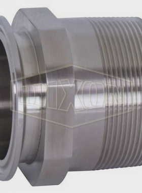 Dixon21MP-G300FittingMNPT3in304StainlessSteel