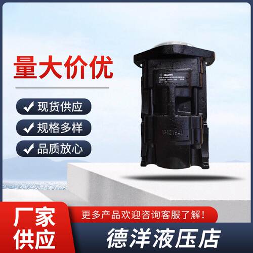 询凯斯帕CASAPPA齿轮泵KP30.34A8K9KP30.24KP30.2730.38液压帮浦
